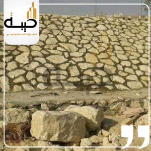 تدبيش الغشيم