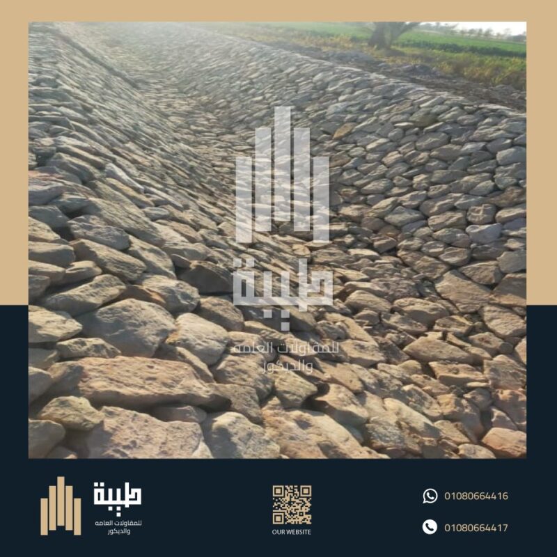 الدبش الغشيم - تدبيش - غشيم - قوى